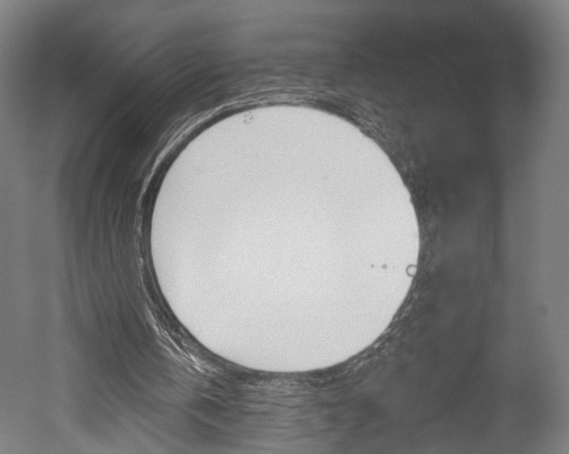 X0000052540146200507010828