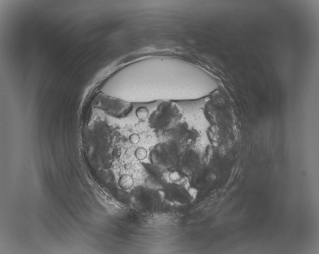 X0000052540149200507010828