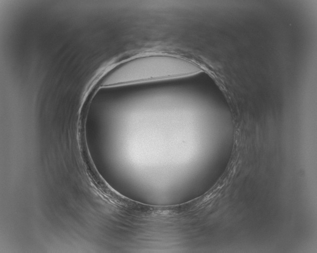X0000052540152200507010828