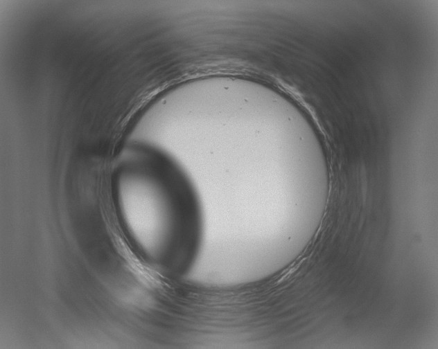X0000052540154200507010828