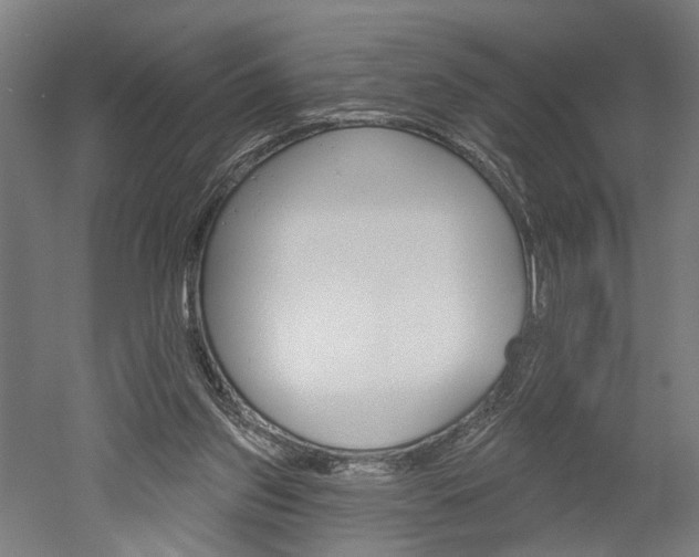 X0000052540157200507010828