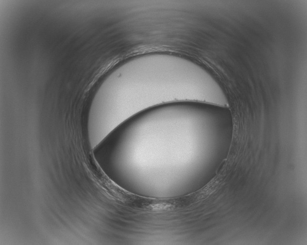 X0000052540158200507010828