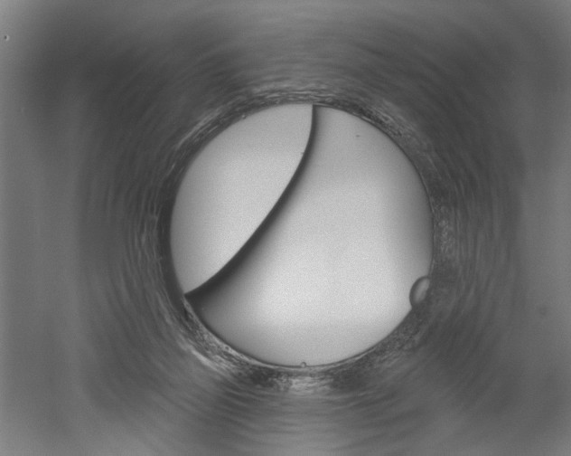 X0000052540165200507010828