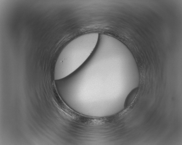 X0000052540166200507010828