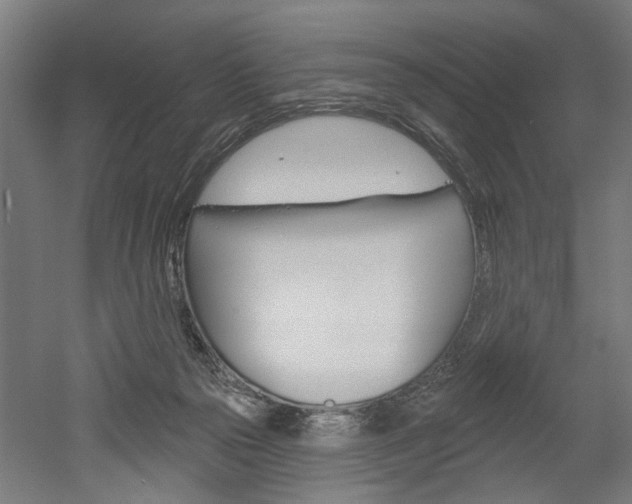 X0000052540169200507010828