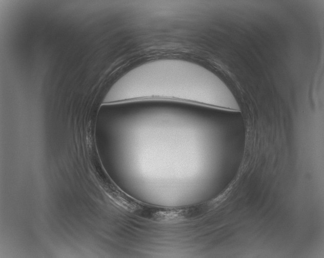 X0000052540170200507010828