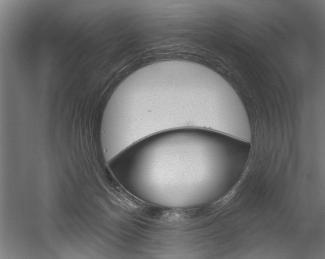 X0000052540174200507010828
