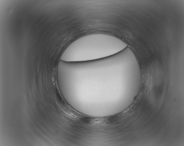 X0000052540175200507010828