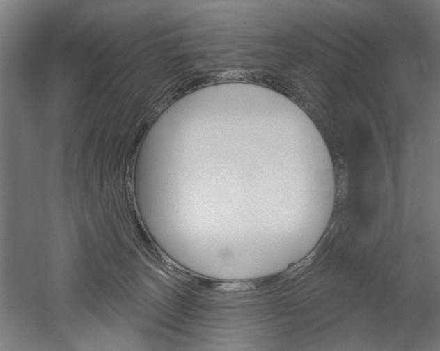 X0000052540179200507010828
