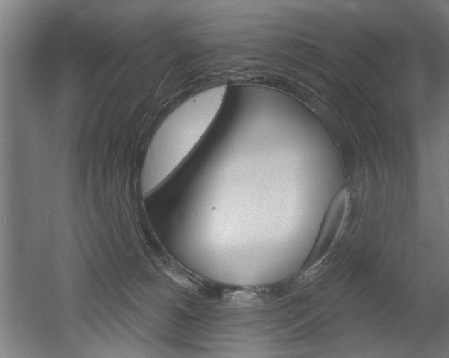 X0000052540180200507010828