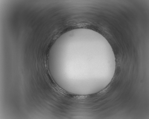 X0000052540182200507010828