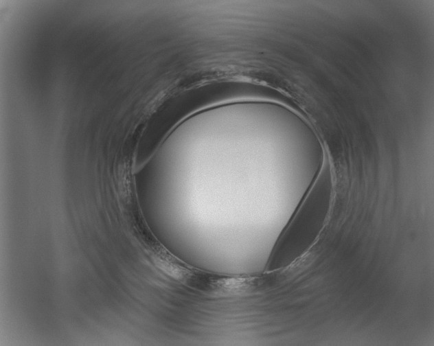 X0000052540184200507010828