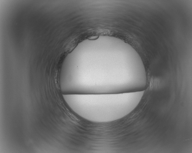 X0000052540185200507010828