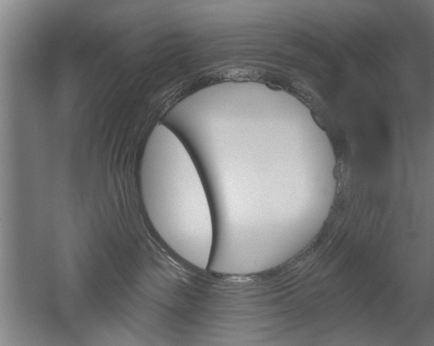 X0000052540189200507010828