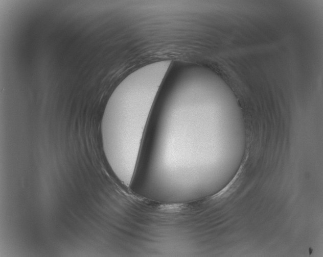 X0000052540192200507010828