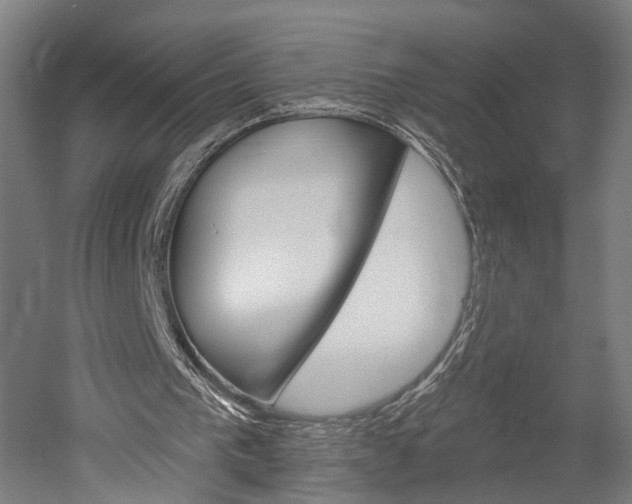 X0000052540193200507010828
