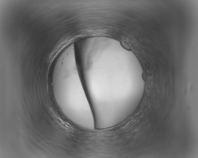 X0000052540194200507010828