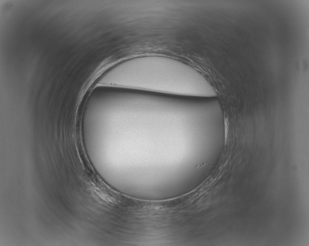 X0000052540195200507010828
