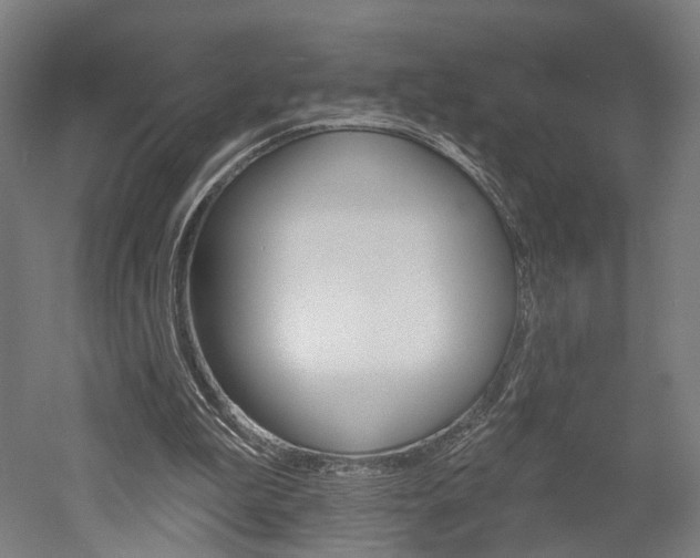X0000052540199200507010828