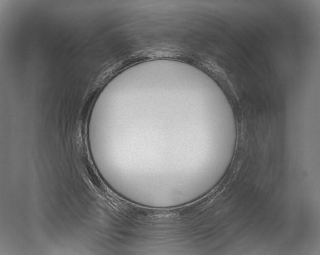 X0000052540202200507010827