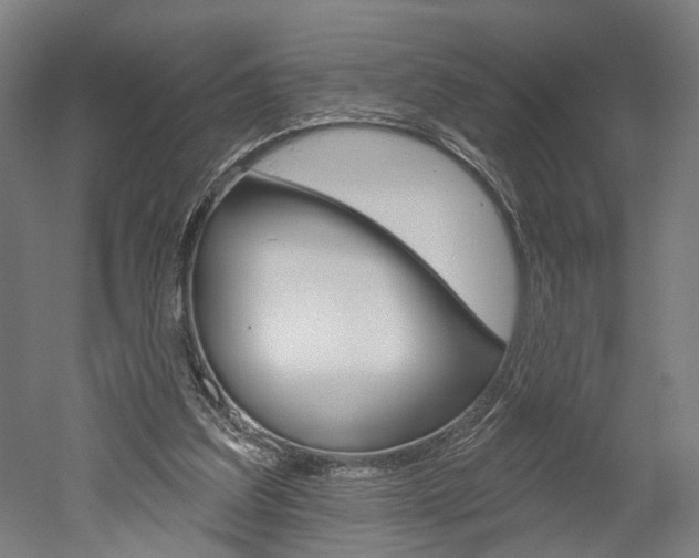 X0000052540203200507010827