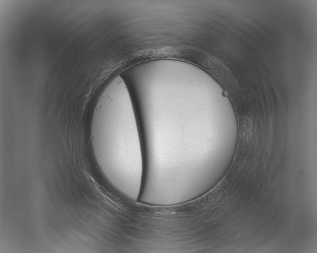 X0000052540206200507010827