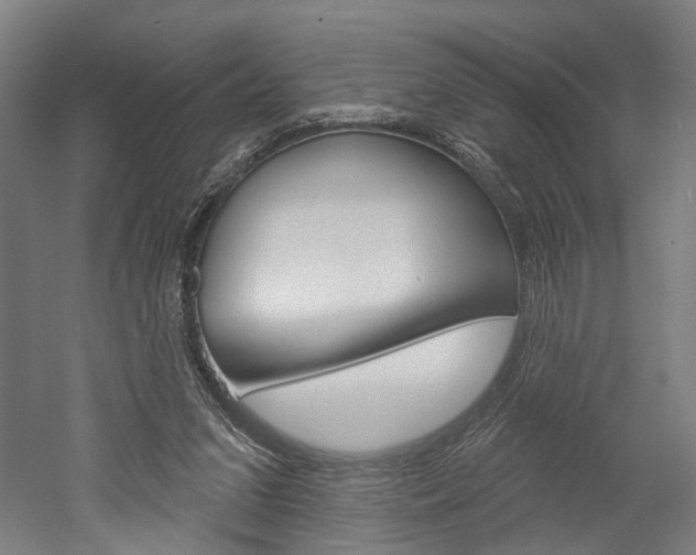 X0000052540207200507010827