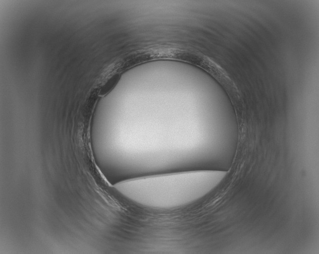 X0000052540209200507010827