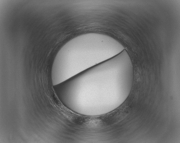 X0000052540210200507010827