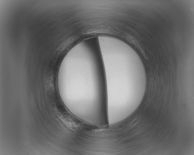 X0000052540212200507010827