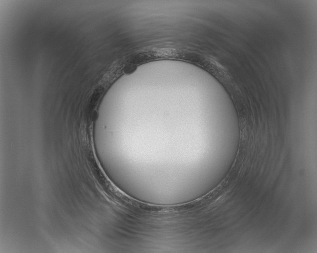 X0000052540213200507010827