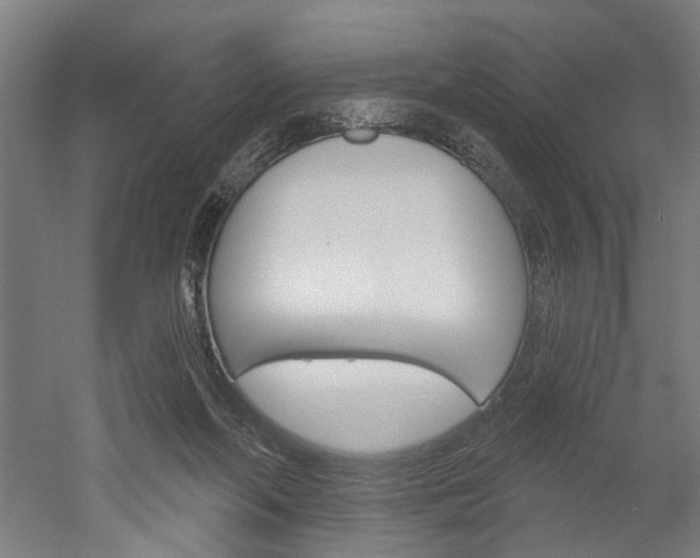 X0000052540214200507010827