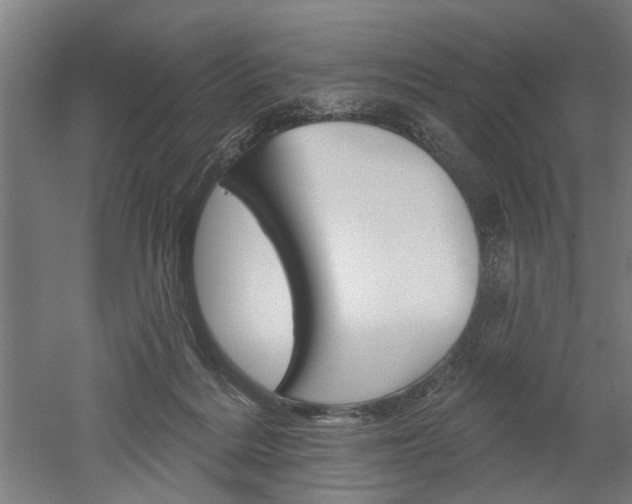 X0000052540220200507010827