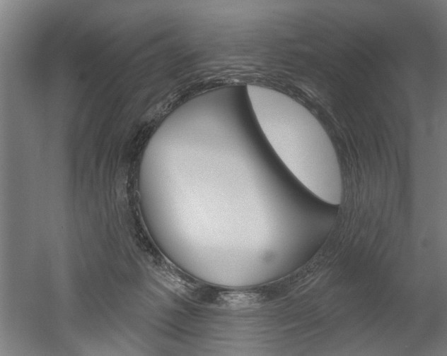 X0000052540221200507010827