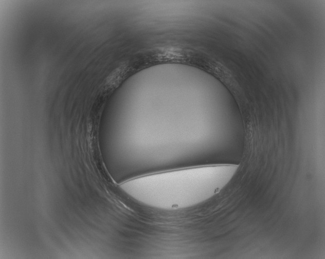 X0000052540223200507010827