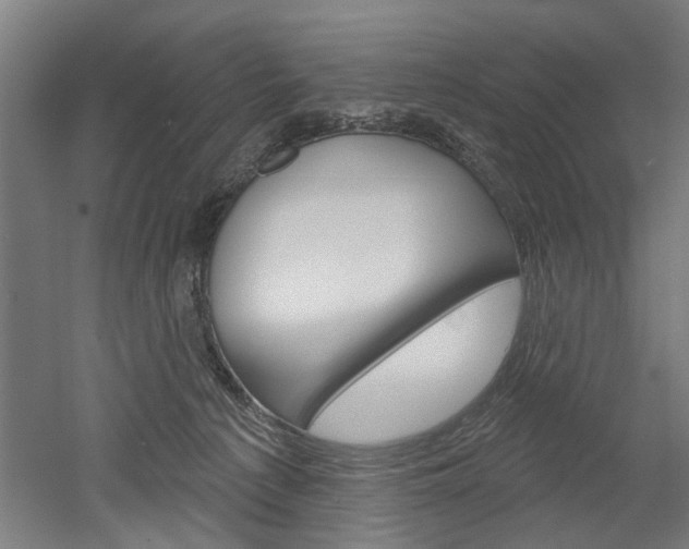 X0000052540225200507010827