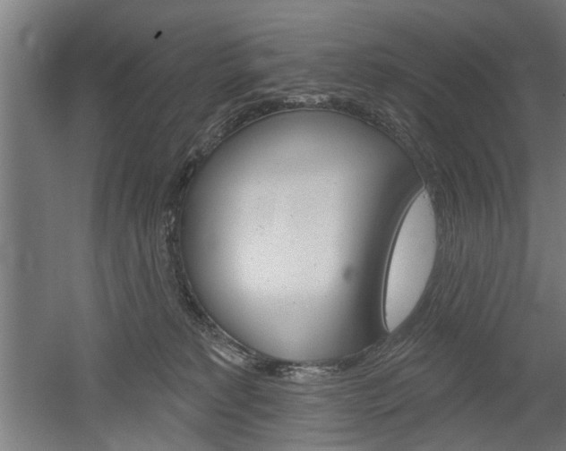 X0000052540229200507010827