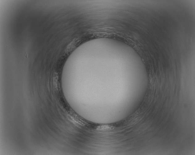 X0000052540231200507010827