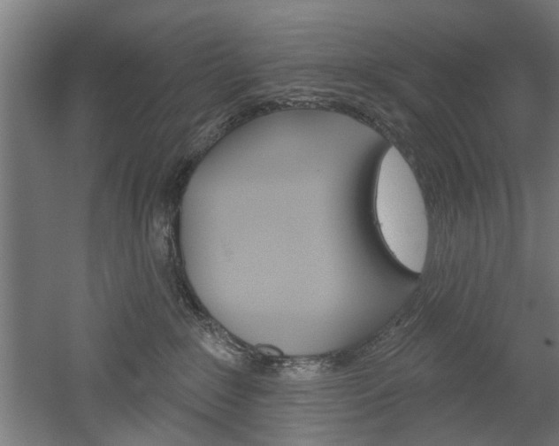 X0000052540235200507010827