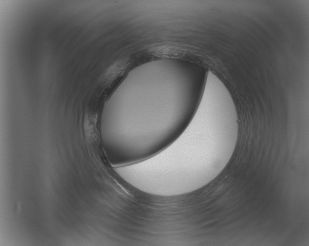 X0000052540239200507010827