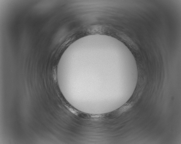 X0000052540240200507010827