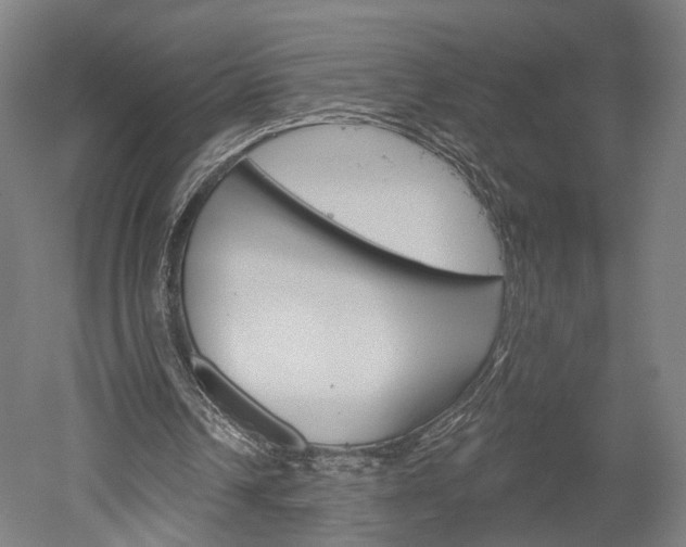 X0000052540242200507010826