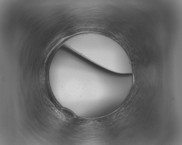 X0000052540243200507010826