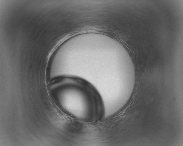 X0000052540244200507010826