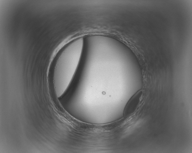 X0000052540246200507010826