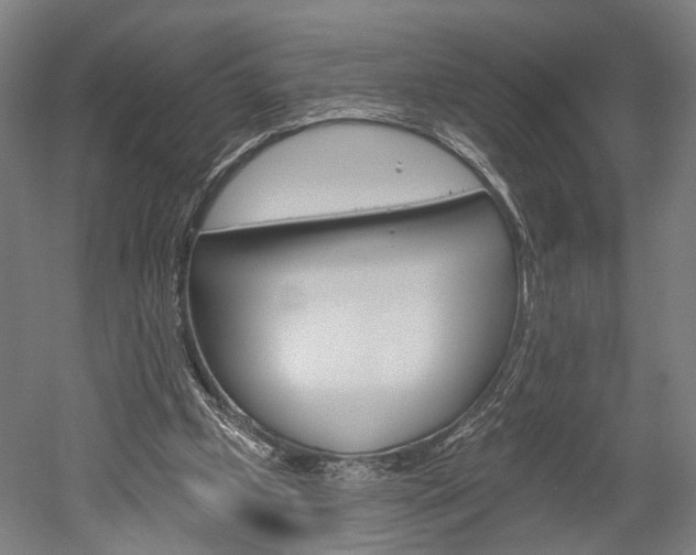 X0000052540249200507010826