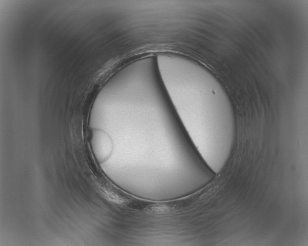 X0000052540253200507010826