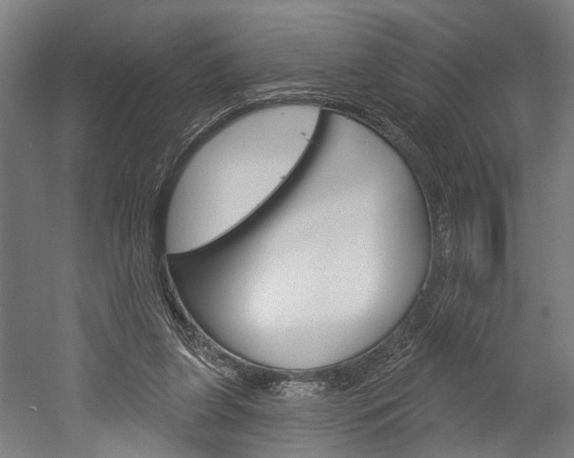 X0000052540255200507010826