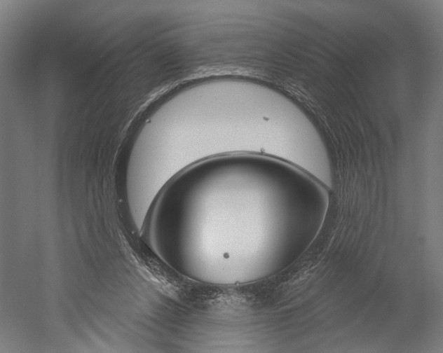 X0000052540256200507010826