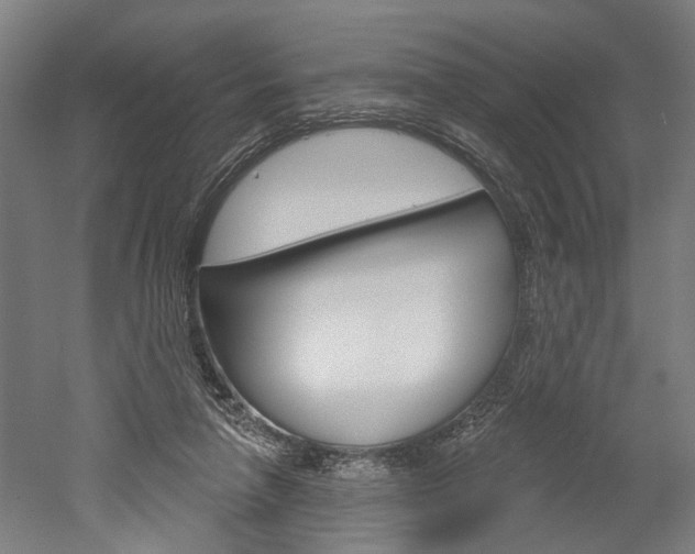 X0000052540258200507010826